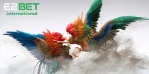 Đá Gà E2BET - Sân Chơi Đá Gà Thomo Hấp Dẫn Và Cơ Hội Thắng Lớn